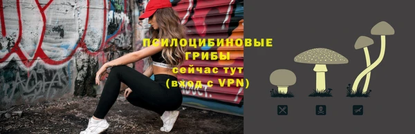 гидропоника Зерноград