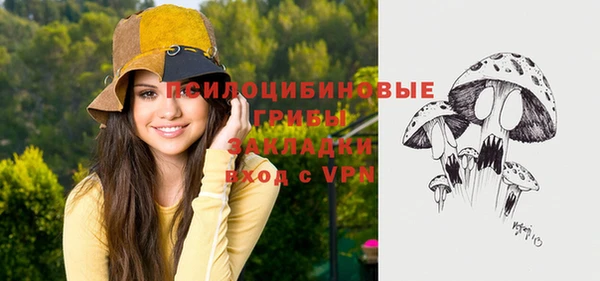 spice Зеленокумск